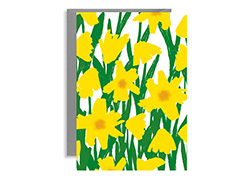 Home Daffodil-card-daffodil-day-marley-press-irish-card copy